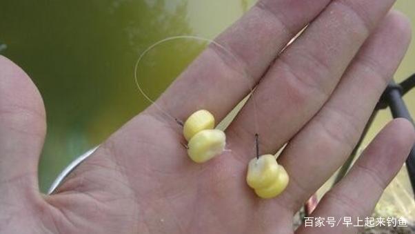 秋季专攻「草鱼」三种绝佳钓法，屡战屡胜，不信你试试