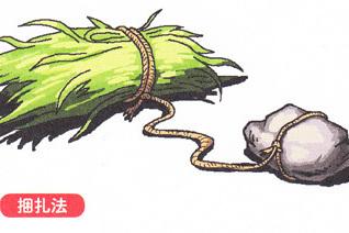 钓草鱼最有效的方法，只要知道这个细节，你就是大师！