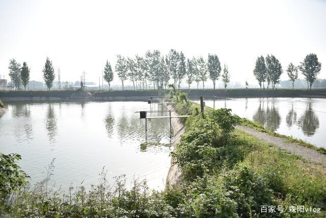 南阳地区钓鱼钓点分享，黑坑野钓都有，今天第一个地方先从库存来