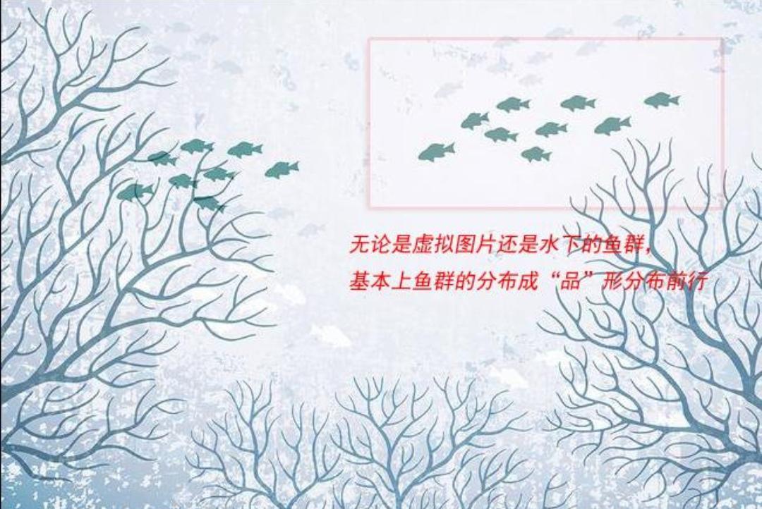 《海钓·矶钓·品形打窝》